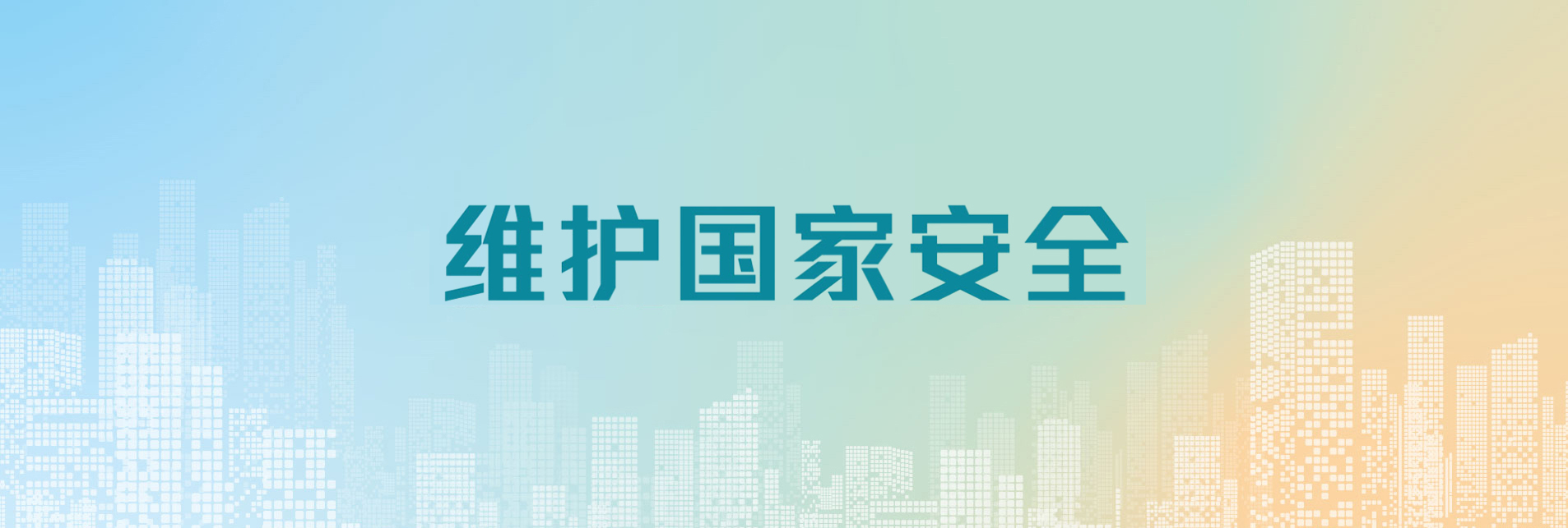 维护国家安全